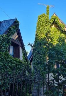 Navacerrada Ski Chalet | Unique Retreat Surrounded by Nature - Pet and Child Friendly