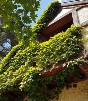 Navacerrada Ski Chalet | Unique Retreat Surrounded by Nature - Pet and Child Friendly