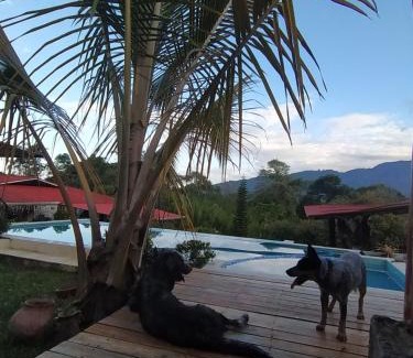 Ibague House | La casona de la loma Ibague