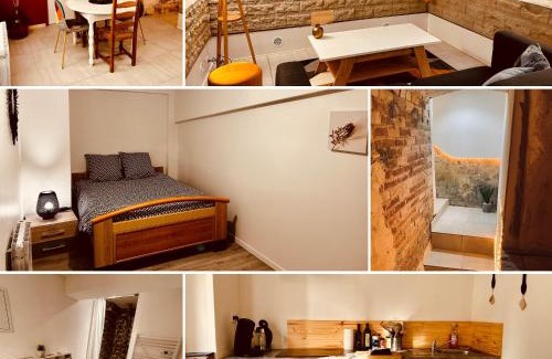 Renaison Apartment | Discover La Cave aux Lumières: Pet-Friendly Retreat