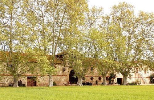 Fourques House | Guest Rated 10/10: La Cave de Grand Cabane with Ocean Views