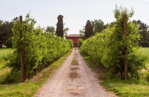 Terzo d'Aquileia House | Unforgettable Getaway at La Centuria Casa Vacanze