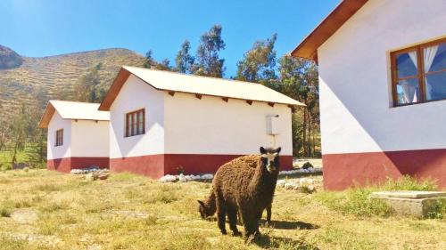Putre Cabin | Comfortable La Chakana Lodge with Hot Tub & Breakfast