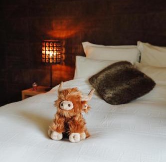 Falmagne Bed & Breakfast | Discover La Chamallow: Relax by the Pool in Comfort
