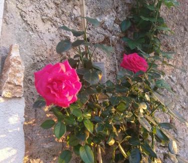 Navacelles Bed & Breakfast | Oceanfront Escape at La chambre de Seraphin - Rated 8.6/10