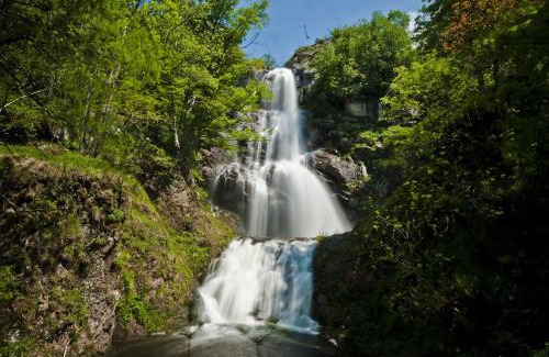 Cassagnas Other | La chevrerie des felges