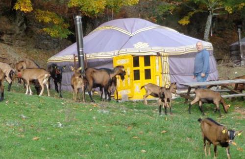 Cassagnas Other | La chevrerie des felges