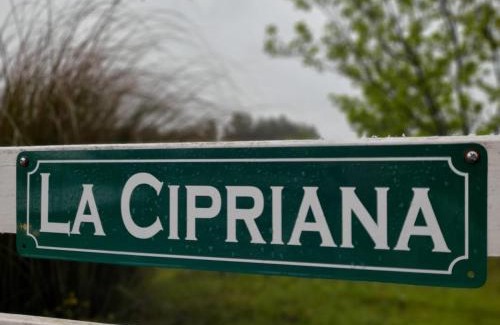 Uruguay Department House | Discover La Cipriana: Oceanfront Pool & 9.8 Star Reviews