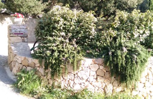 Duilhac-sous-Peyrepertuse Bed & Breakfast | Explore La Claouzo: Pet-Friendly Stay with High Ratings