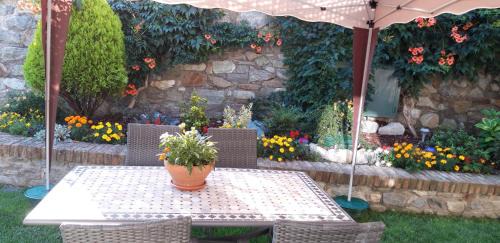 Donnas House | Oceanfront Comfort at La Coccinella - Guest Rated 9.7/10