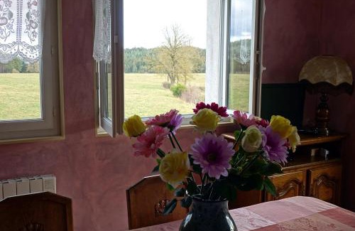 Felines House | Discover La Crova: Guest Rated 9.2/10 Getaway