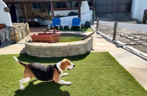 Buen Paso House | Family-Friendly Getaway at La Cuadra de Juan