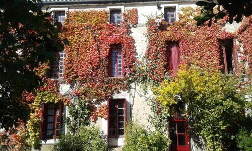 La Courade Bed & Breakfast | Pet-Friendly Getaway at La Cure du Maine Charles Hotel