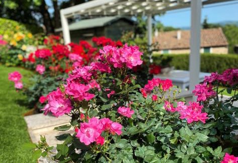 Poggio Murella Apartment | Stay at La Dama: Family-Friendly with a 9.7 Review Score