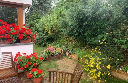 Monzuno Apartment | Highly Rated La Dimora di Dafne 48: Pet & Child Friendly