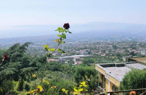 Ercolano Bed & Breakfast | Discover La Dimora le Fumarole: Pet-Friendly Getaway