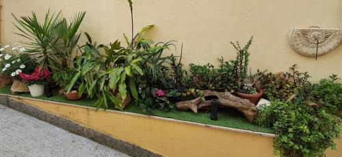 Bitetto House | Discover La Dimora Segreta: Pet-Friendly Retreat with Hot Tub