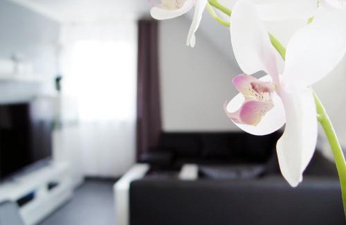 Lotte Apartment | Premium Oceanfront Stay at La Domus in Osnabrück Lotte