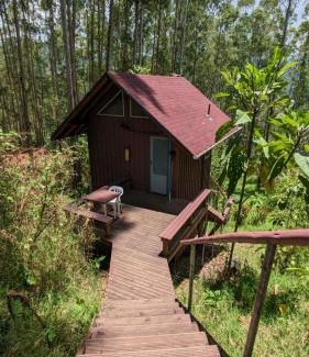 Jardin Cabin | Discover La Esperanza Lodge with Oceanfront Views
