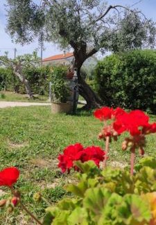 Ripa Teatina Apartment | La Fattoria dei Desideri