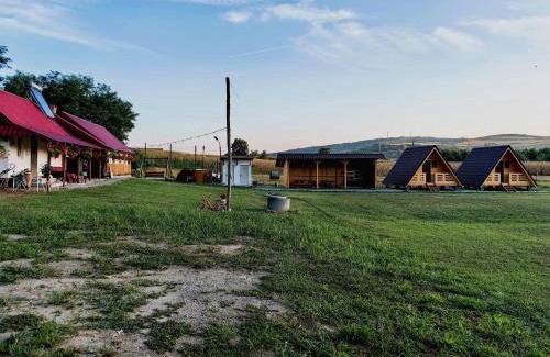 Seica Mare Other | La Fermă
