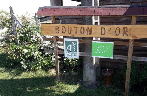 Vendranges Bed & Breakfast | Explore La ferme du Bouton d'Or: Pet Friendly and Cozy Retreat