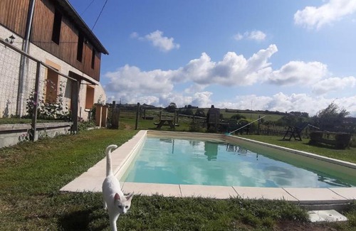 Vendranges Bed & Breakfast | Explore La ferme du Bouton d'Or: Pet Friendly and Cozy Retreat