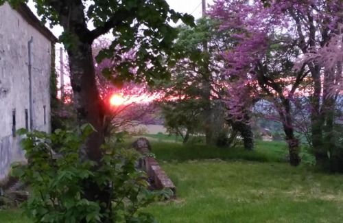 Laplume House | Pet-Friendly Retreat at La Ferme du Chateau with Breakfast