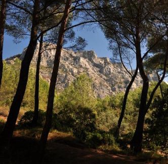 Saint-Marc-Jaumegarde Bed & Breakfast | Oceanfront Retreat at La Ferme - 9.4/10 Guest Rated