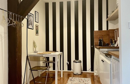 Metz-Centre – Ancienne Ville Apartment | Cozy Studio Steps from the Cathedral with Kitchen Amenities