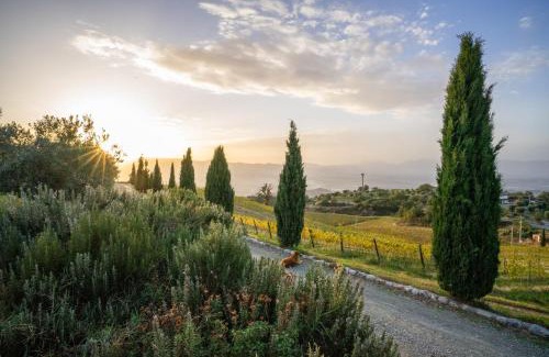 Bisignano Bed & Breakfast | Unforgettable Stays at La Foresteria di Serracavallo