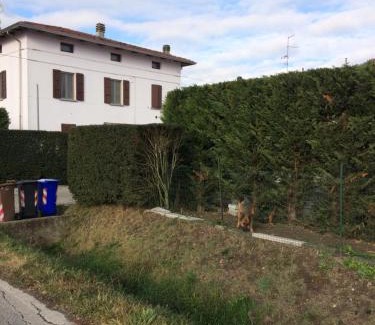 Torrile Bed & Breakfast | Pet-Friendly La Fossetta B&B with Hot Tub and Breakfast