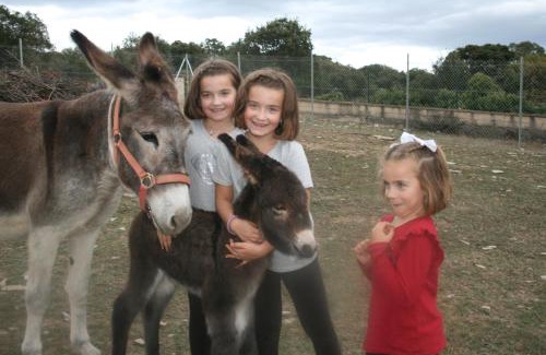Hueto Arriba House | Pet-Friendly Getaway at La Granja De Vitoria - Rated 8.2/10