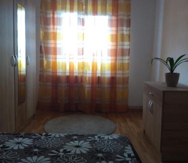 Fagaras Apartment | La Han