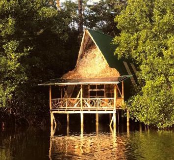 Livingston Hotel | La Isla Dulce