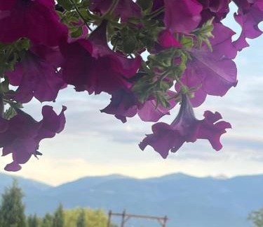 Voila House | Family-Friendly Retreat at La Izvoare Pensiune-Păstrăvărie