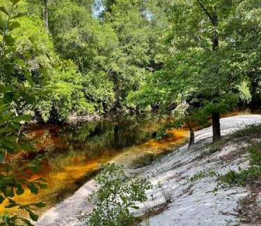 Wing House | Child-Friendly La JoEllen at Blackwater Getaway - 10/10 Rating