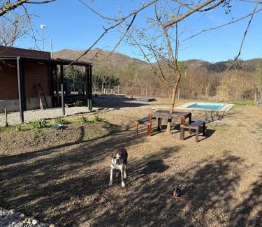 Vaqueros House | Discover La Josefina: Poolside Bliss for Families