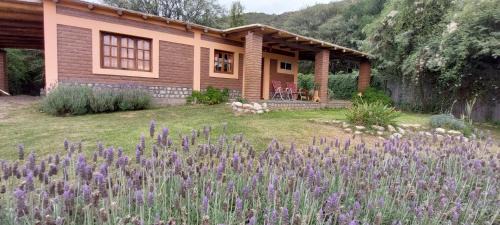 Province of Catamarca Ski Chalet | Budget-Friendly Stay at La Killuna with Child-Friendly Amenities
