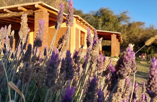 Province of Catamarca Ski Chalet | Budget-Friendly Stay at La Killuna with Child-Friendly Amenities