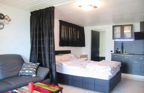 Monthey Apartment | la lapia
