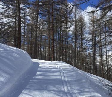 Val-des-Pres Apartment | La Lauze village house in Clarée Valley 4P