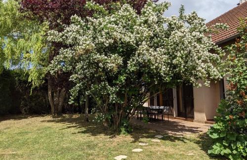 Rilly-la-Montagne House | Ideal LA LOGIA Gîtes for Groups: Pet & Child Friendly