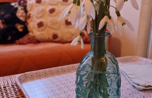 Licques Bed & Breakfast | Family-Friendly Escape at La Longère d'Ecottes