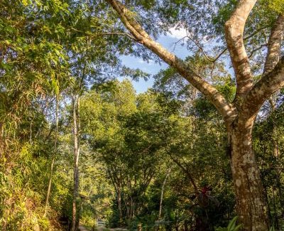Paraty Ski Chalet | Experience La Luciole Ecolodge: Guest Rated 9.8, Oceanfront Bliss