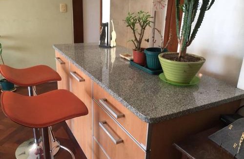 San Telmo Apartment | Discover La Luz de San Telmo: Pet-Friendly Retreat
