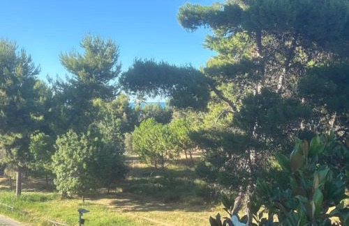 Montesilvano Bed & Breakfast | La Magnolia B&B