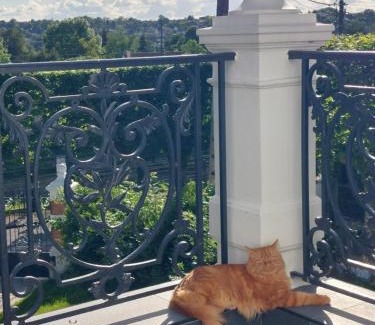 Brunoy House | Elegant Maison Near Brunoy Station with Kitchen Amenities