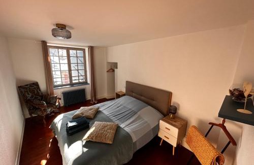 Vic-sur-Cere Apartment | Kid-Friendly Stays at La Maison aux Volets Bleus