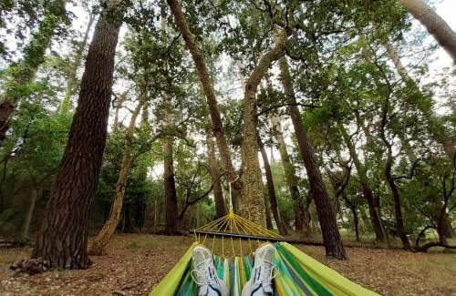 Tarnos House | Relax at La Maison de Maritxu: Beach & Forest Retreat